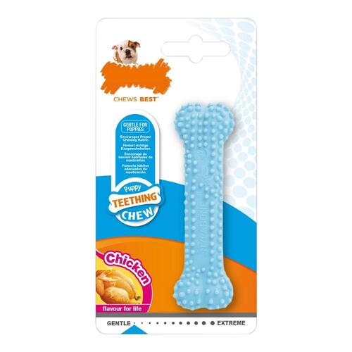 Hund Bidering Nylabone Blå Kylling Blue Termoplastisk XS-størrelse Hvalpe