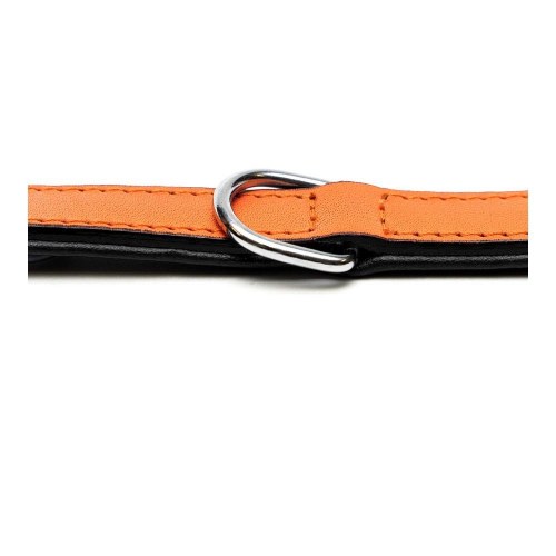 Gloria hundehalsbånd med puder - Orange, 30 x 1,5 cm
