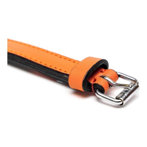 Gloria hundehalsbånd med puder - Orange, 30 x 1,5 cm