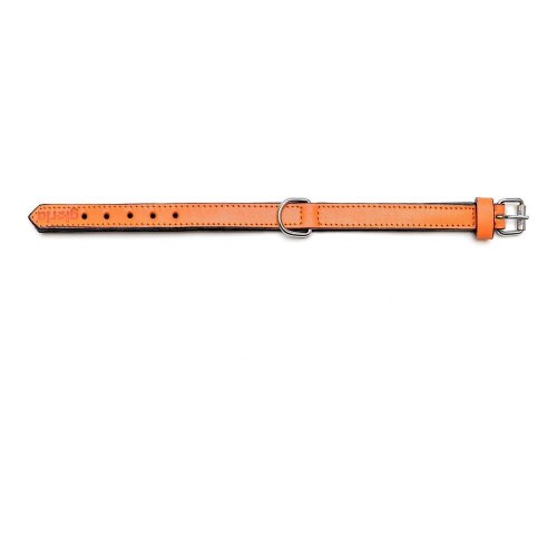 Gloria hundehalsbånd med puder - Orange, 30 x 1,5 cm
