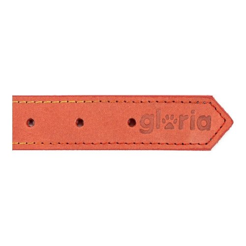 Gloria Hundehalsbånd Oasis - Rød, 35 × 1,2 cm