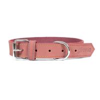 Hundehalsbånd Gloria Oasis Pink (1,5 x 40 cm)
