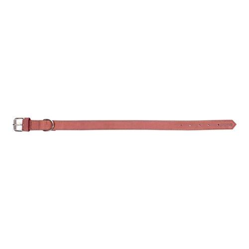 Hundehalsbånd Gloria Oasis Pink (1,5 x 40 cm)