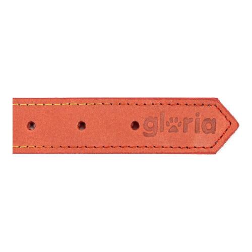 Hundehalsbånd Gloria Oasis Rød (60 x 3 cm)