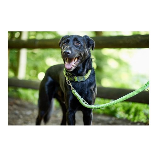 Hunter HILO hundesnor - Lime, 200 cm