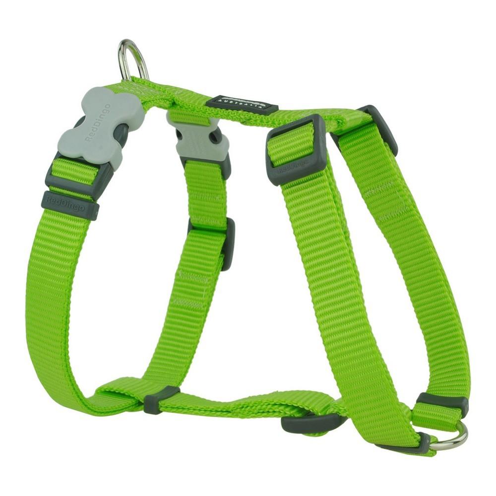Hundesele til gåtur Red Dingo - Glat, lime (46-76 cm)