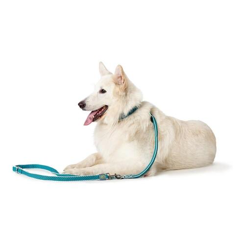 Hundesnor Hunter HILO Turkisblå 200 cm