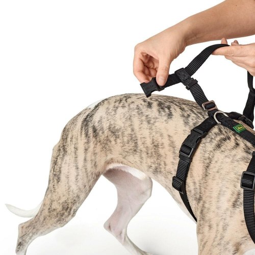 Hunter hundesele - sort, størrelse M/L (64-100 cm)