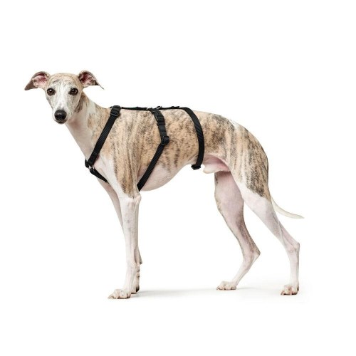 Hunter hundesele - sort, størrelse M/L (64-100 cm)