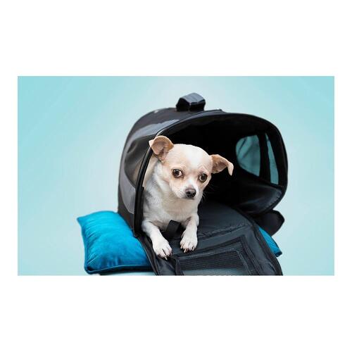 Transportkasse Gloria Gloss Størrelse S Foldbar Sort black (35 x 22 x 23 cm)