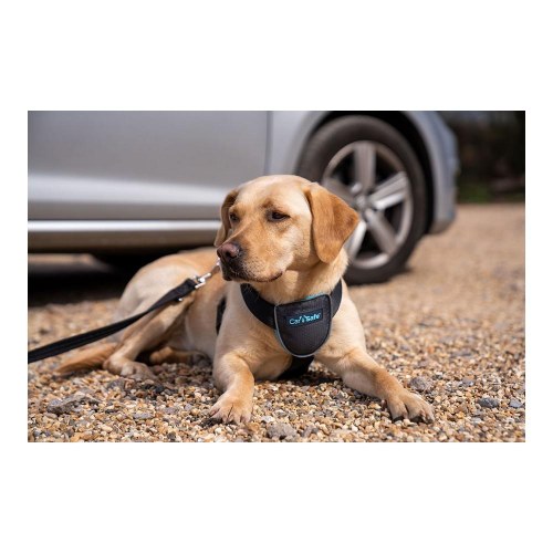 Company of Animals CarSafe hundesele - sort, str. S (bryst 50-64 cm)