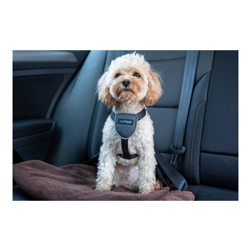 Company of Animals CarSafe hundesele - sort, str. S (bryst 50-64 cm)