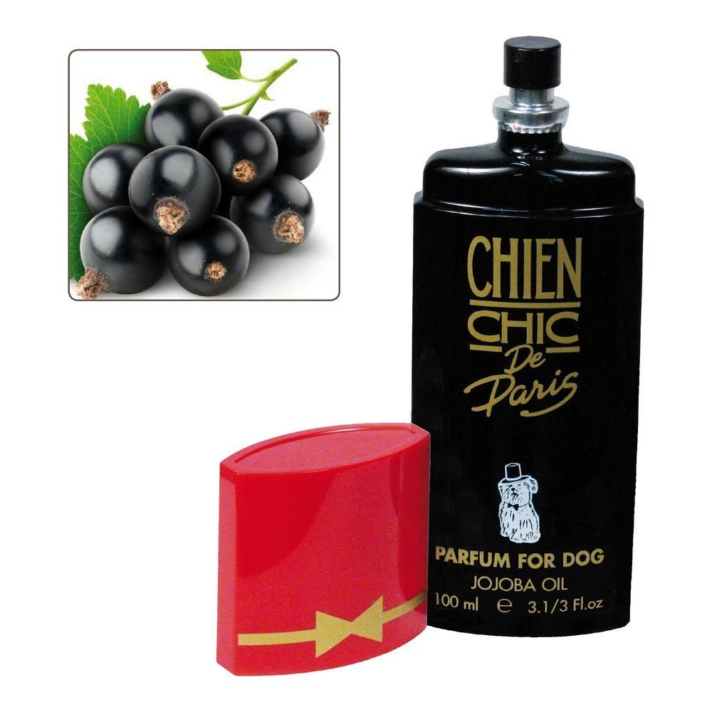 Parfume Til Kæledyr Chien Chic Hund Solbær 100