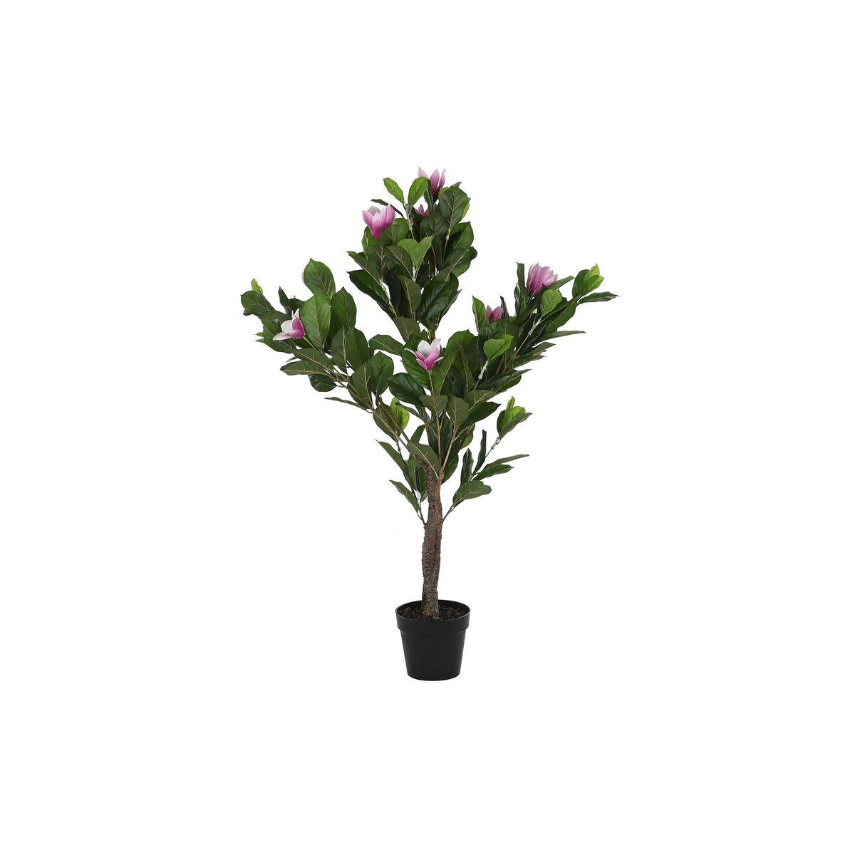 Dekorativ Plante Pink Grøn 125