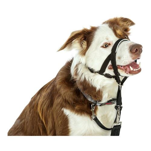 Company of Animals Halti Headcollar - Sort, str. 3 (40-54 cm)