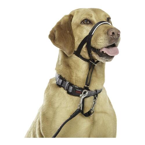 Company of Animals Halti Headcollar - Sort, str. 3 (40-54 cm)