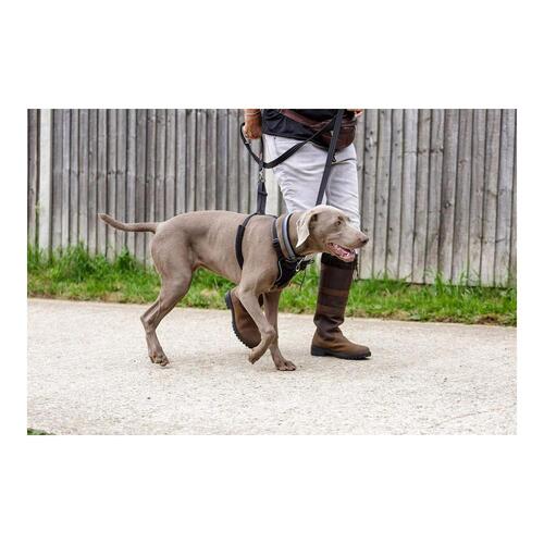 Hundesele Company of Animals Halti Størrelse S (26-36 cm)