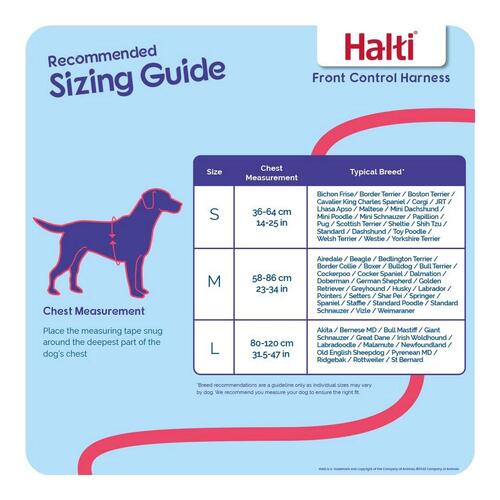Hundesele Company of Animals Halti Sort/Rød Størrelse M (58-86 cm)