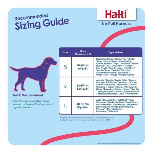 Halti No Pull Hundesele - Company of Animals, M (34-56 cm), sort