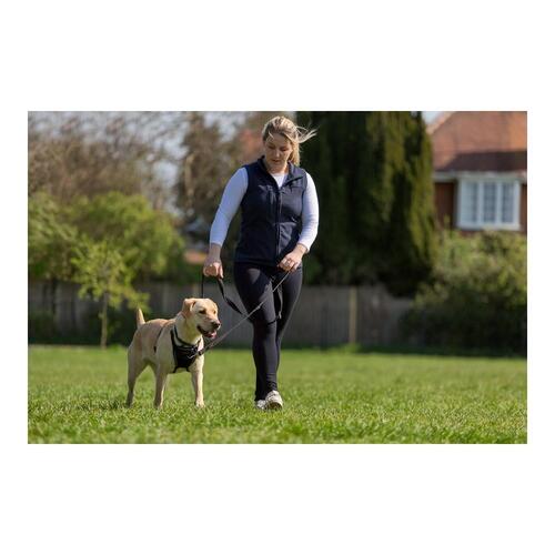 Halti No Pull Hundesele - Company of Animals, M (34-56 cm), sort