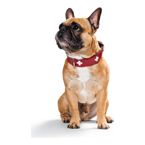 Hunter Hundehalsbånd Swiss - Rød/Sort, 38-43,5 cm