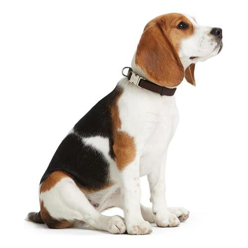 Hunter Hundehalsbånd Alu-Strong - Sort, S (30-45 cm)