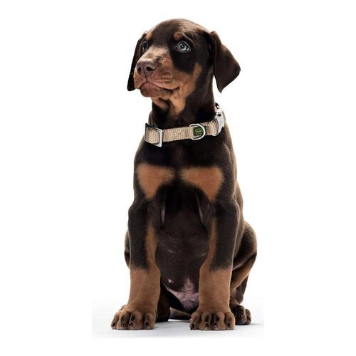 Hunter Hundehalsbånd Alu-Strong - Sort, S (30-45 cm)