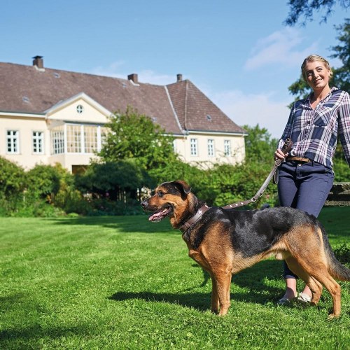 Hunter Swiss hundehalsbånd - brun, 35-39,5 cm