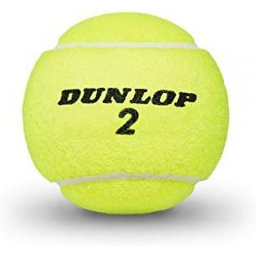 Dunlop Club All Court tennisbolde - 3 stk, gul