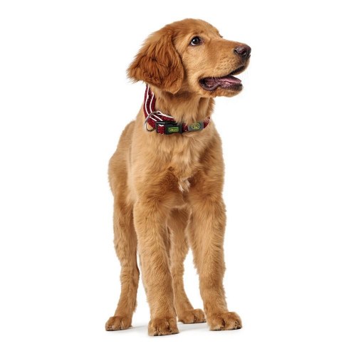 Hunter Hundehalsbånd Plus Gevind - Rød, str. L (40-60 cm)