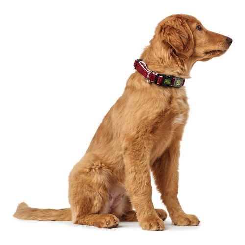 Hunter Hundehalsbånd Plus Gevind - Rød, str. L (40-60 cm)