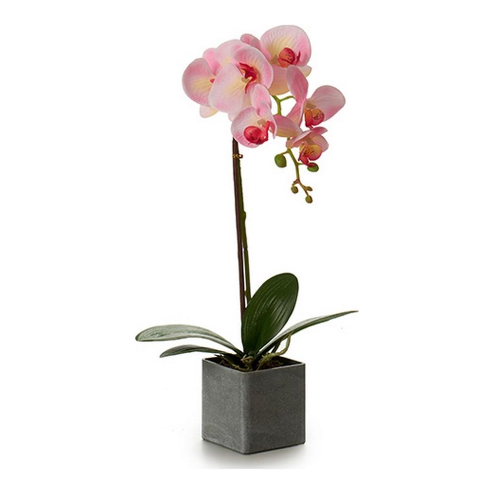 Dekorativ plante Orkide 15 x 43 x 18 cm Plastik