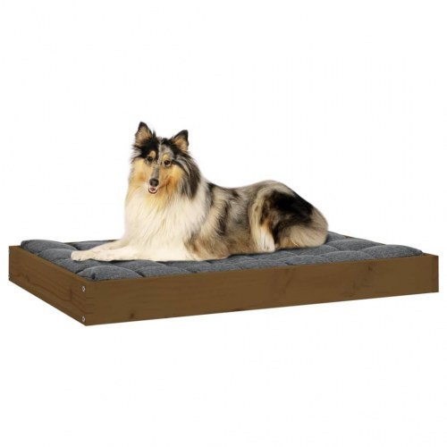 Hundeseng i massivt fyrretræ 91,5 × 64 × 9 cm - gyldenbrun