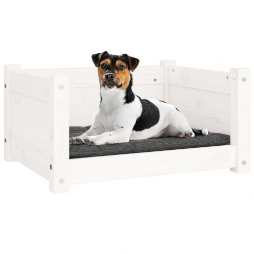 Hundeseng hvid 55,5x45,5x28 cm massivt fyrretræ