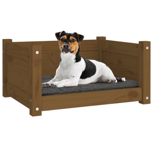 Hundeseng i massivt fyrretræ - 55,5 × 45,5 × 28 cm, gyldenbrun