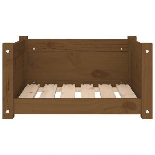 Hundeseng i massivt fyrretræ - 55,5 × 45,5 × 28 cm, gyldenbrun