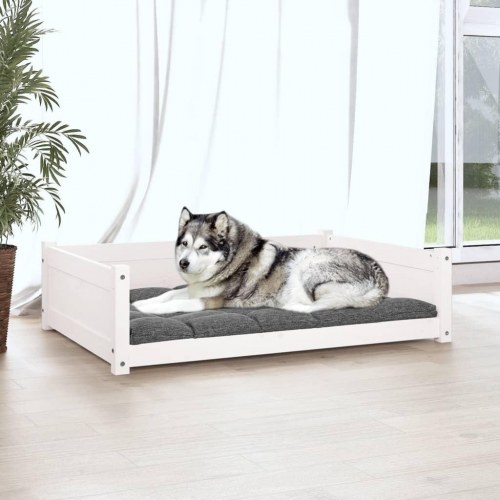 Hundeseng i massivt fyrretræ - hvid, 105,5 × 75,5 × 28 cm