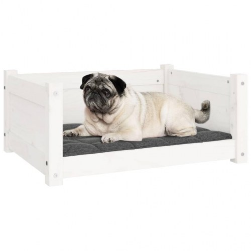 Hundeseng hvid 65,5x50,5x28 cm massivt fyrretræ