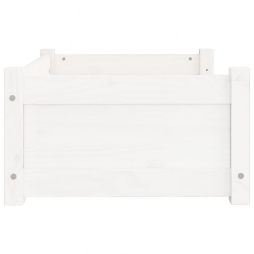 Hundeseng hvid 65,5x50,5x28 cm massivt fyrretræ