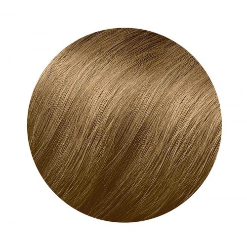 Permanent hårfarve Phyto Paris Color 8.3 Light Golden Blonde - 3 dele