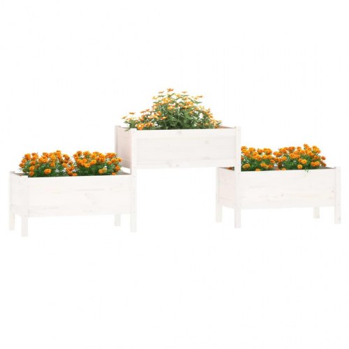 Plantekasse 245,5x44x75 cm massivt fyrretræ hvid