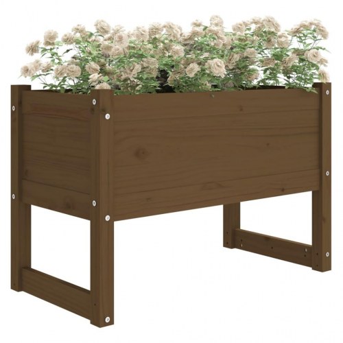 Plantekasse i massivt fyrretræ - 78×40×52 cm, gyldenbrun