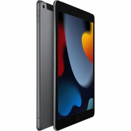 Tablet Apple iPad 2021 Grå 10,2"
