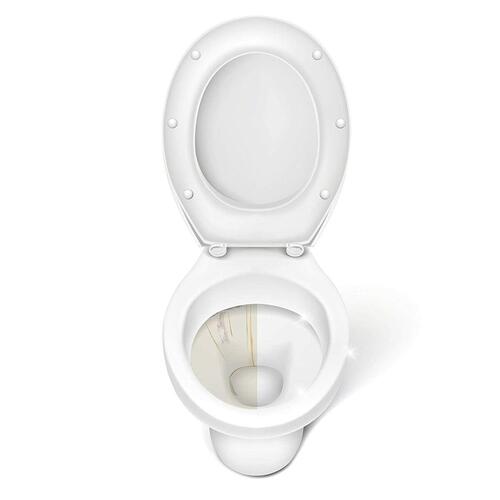 Svamp Cleaning Block Toilet Grå (23,5 cm)