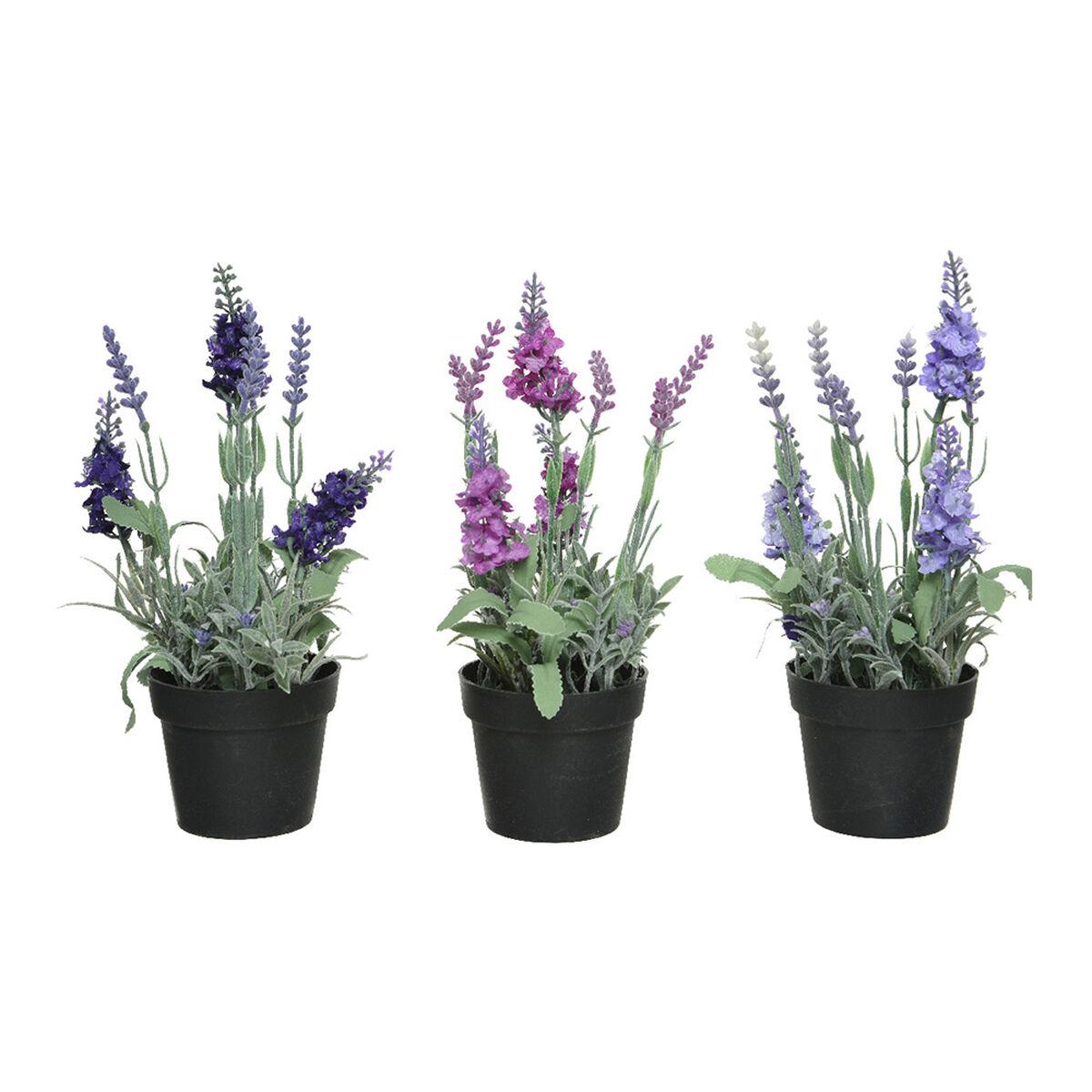 Dekorativ Lavendelplante I Potte 25 Cm Pvc