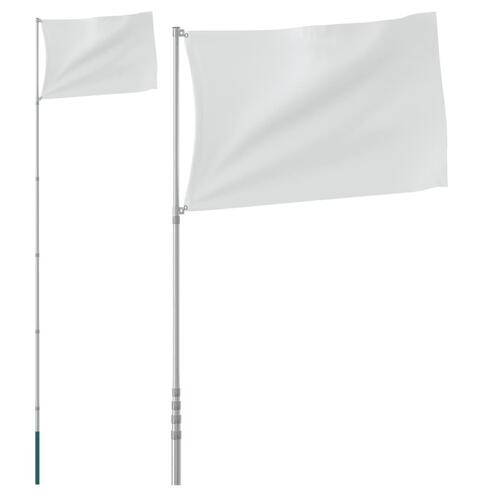 Teleskopflagstang 5,5 m aluminium sølvfarvet