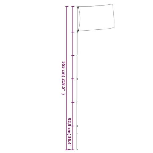 Teleskopflagstang 5,5 m aluminium sølvfarvet