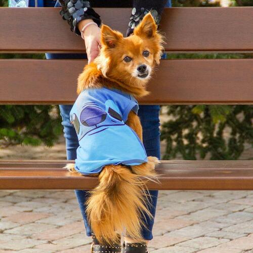 Hund T-shirt Stitch XXS