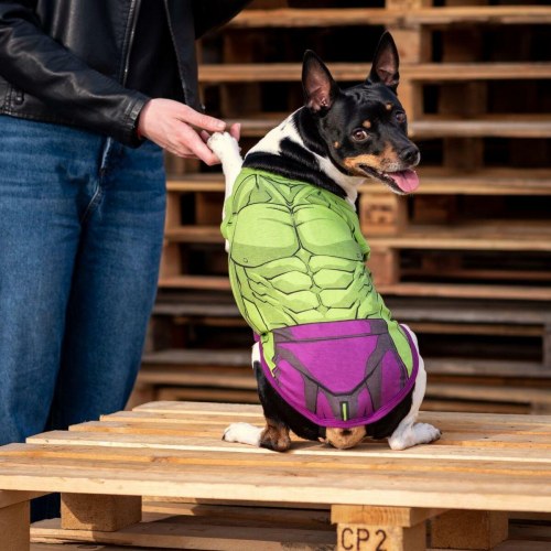 Hund T-shirt The Avengers - XS