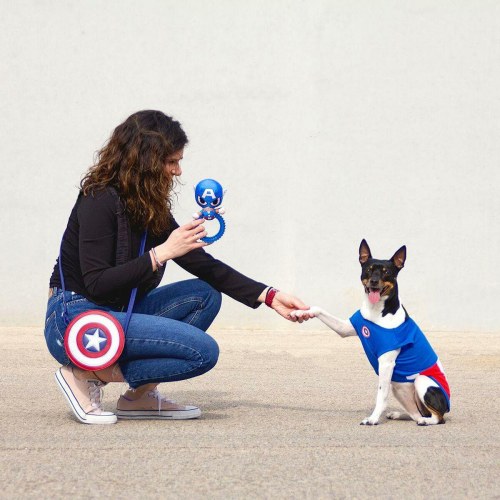 Hund T-shirt The Avengers - S